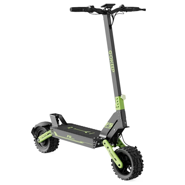 GOKEEP F5 Electric Scooter 20Ah 52V 1000W Recommended Top Speed 25KM/H 11 Inches